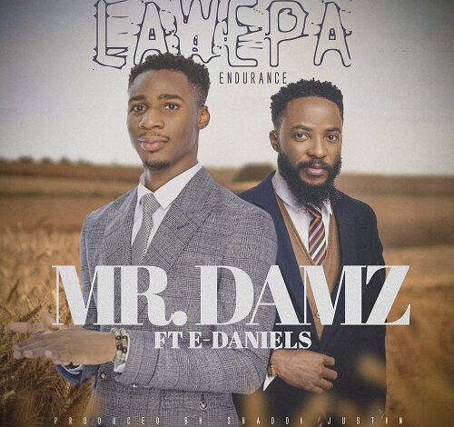 Mr Damz – Lawepa (Endurance) Ft E Daniels Mp3 Download